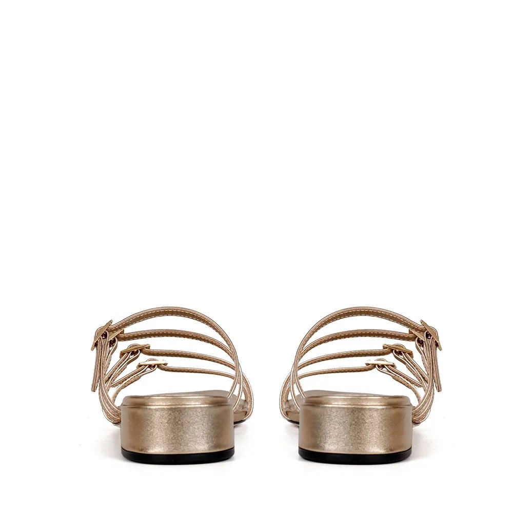 Mule Elisa Saturno - Imagem 5