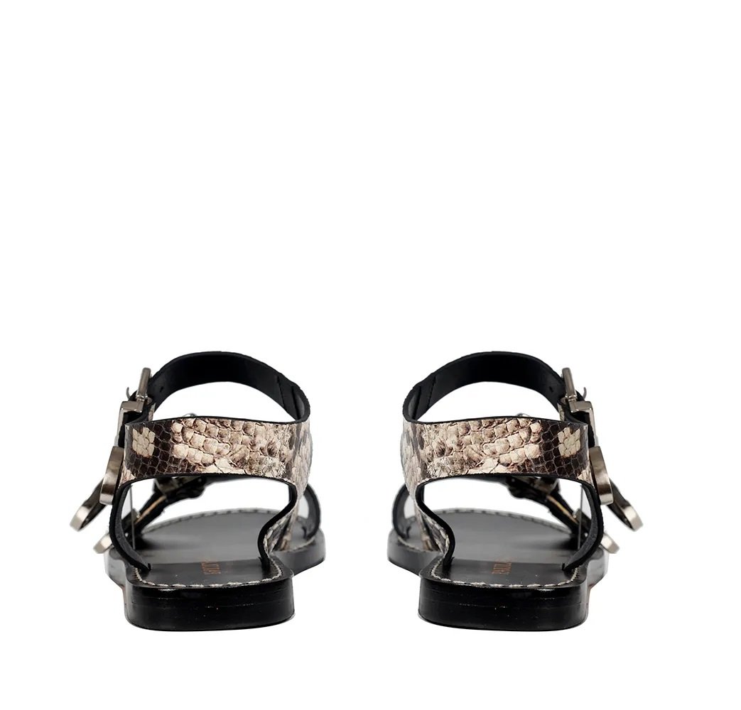 Rasteira Betina Snake - Imagem 5